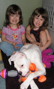 My girls and our puppy Mischievious!