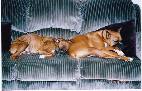 My Girls