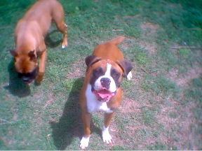my girls