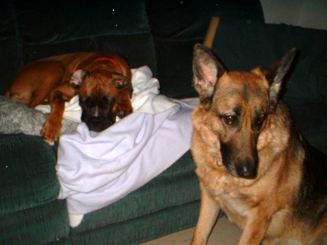 my girls