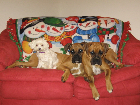My Girls