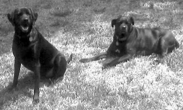 My Girls