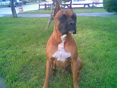 My good side