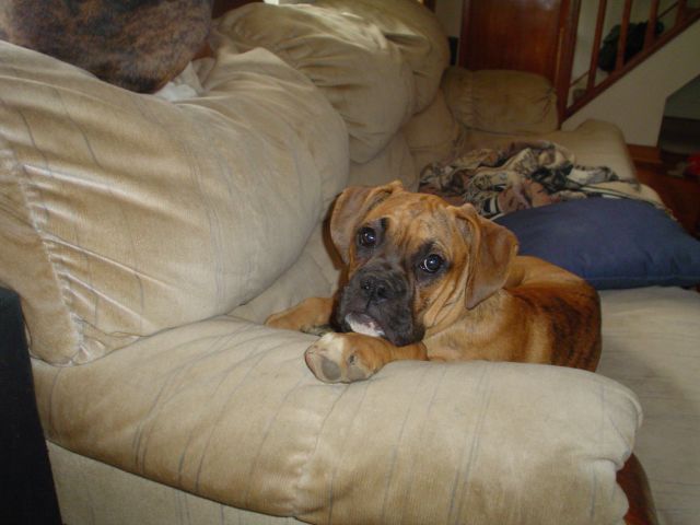 My handsome boy