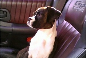 My Handsome Boy!