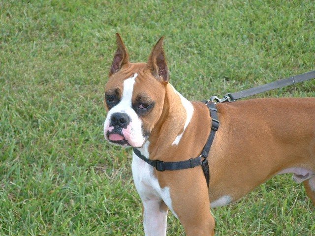 My handsome fella
