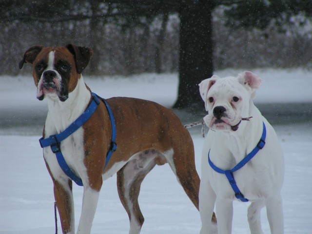 My handsome guys!
