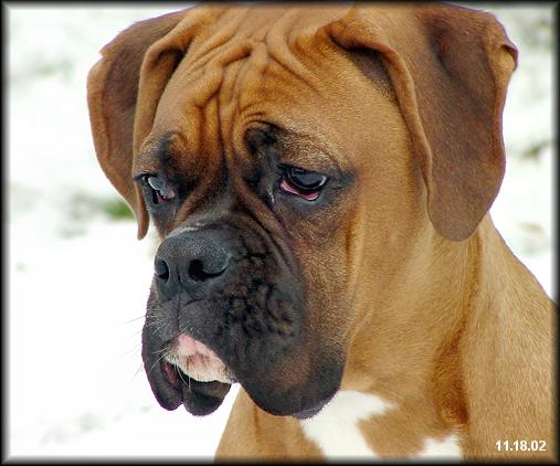 My handsome man scoping out the snow