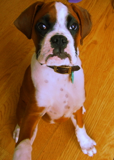 My Handsome Zebedee...Love Him!!