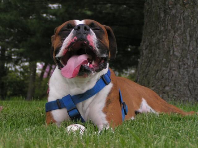 My happy..tired boy