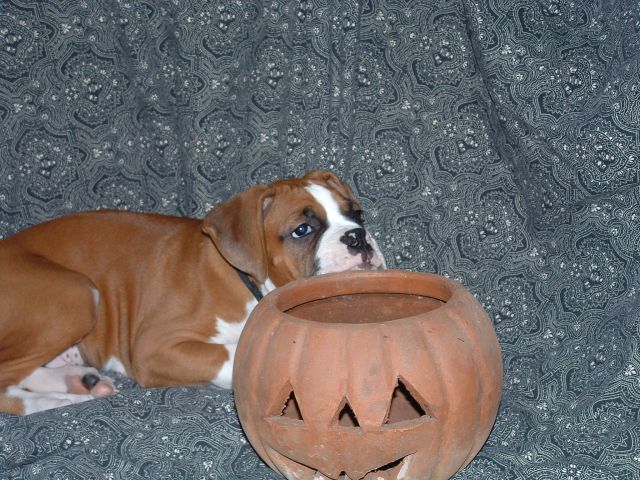 My head is so heavy !
