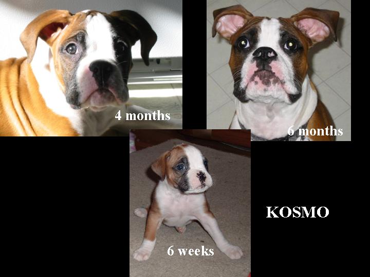 My how you have grown!