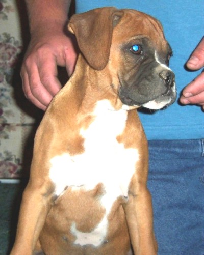 My Isabelle at 3 months