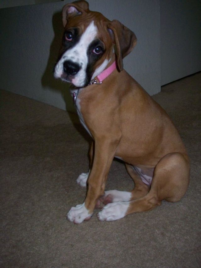 My Kairi