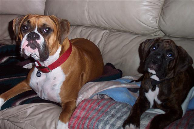 My Kids