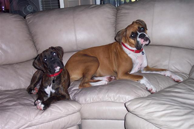 My Kids