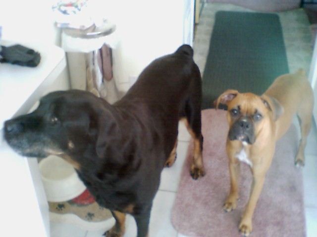 My Kids