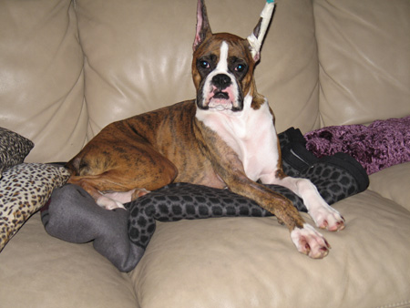 My Leg is Getting Better