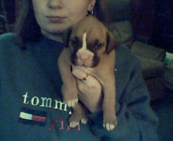 my lil Killer