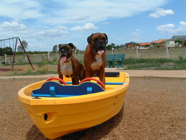 My lil sailors
