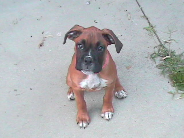 My little angel