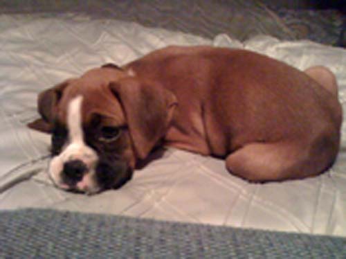 My little baby girl