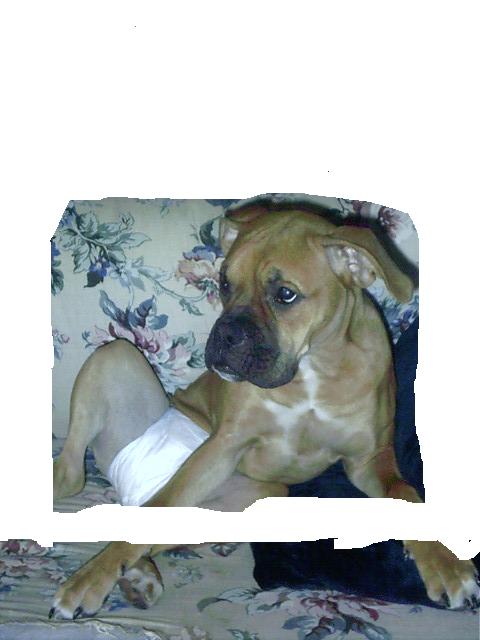 MY LITTLE BABY