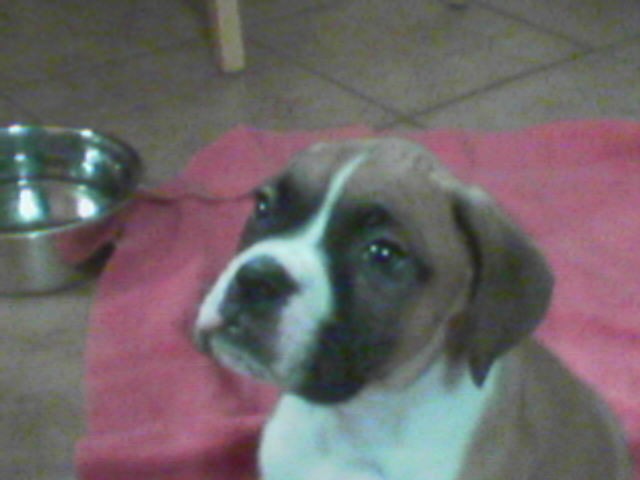 My Little Baby
