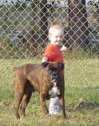 My Little Brother