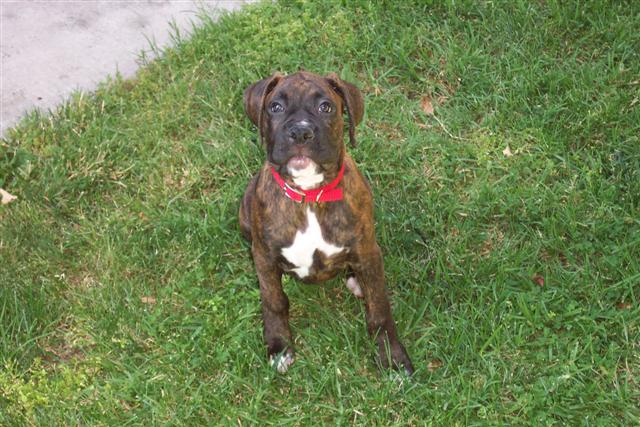 My Little Cutie!