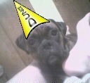 My little dunce!