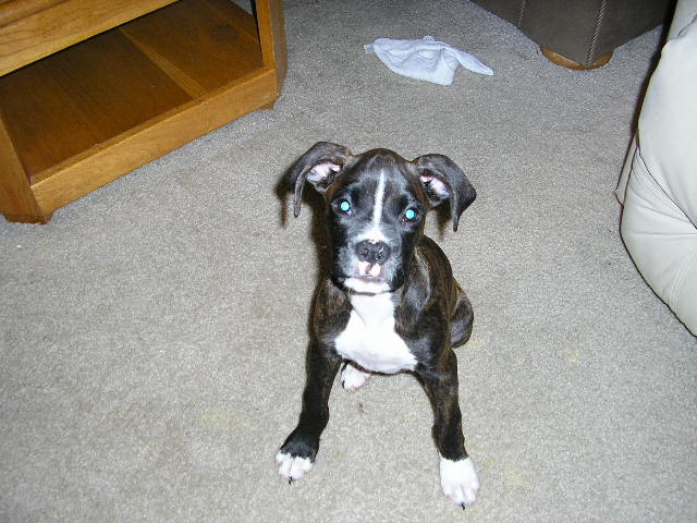 My little girl is growing up