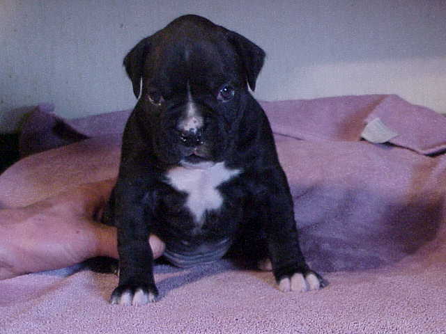 my little girl