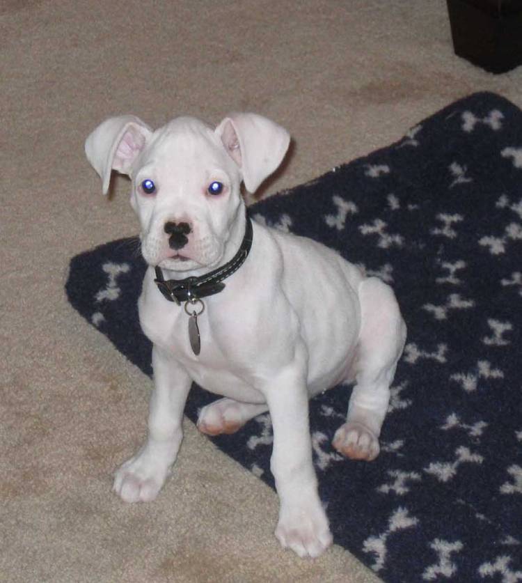 My little guy