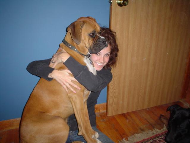 My little lap dog.