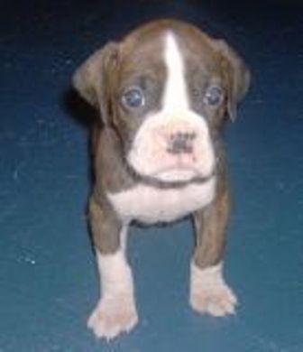 My Little Man Quinn