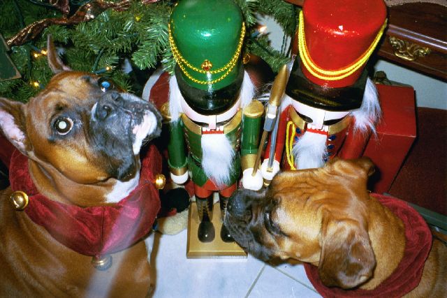 My Little Nutcrackers
