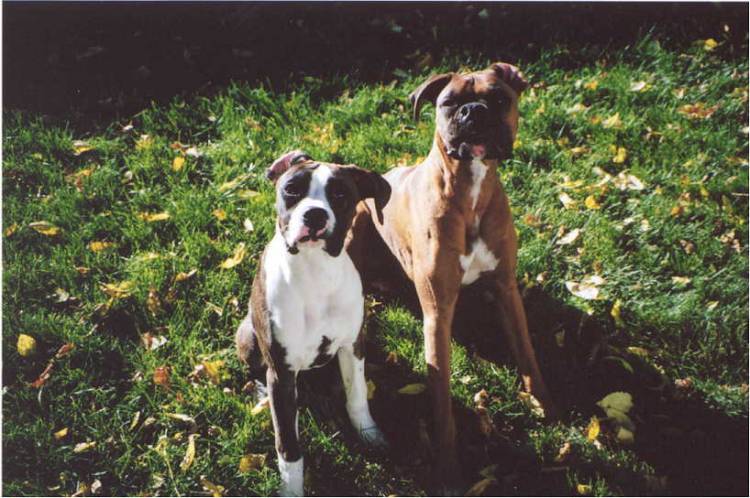 My little posers!!