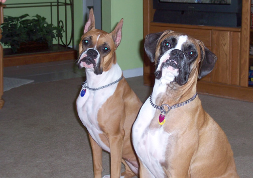 My little posers!