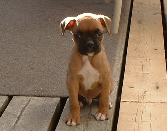 My little runt!