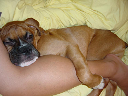 my lump :-)
