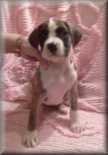 My Miracle Baby