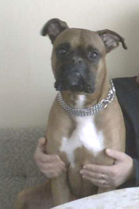 My mom :)