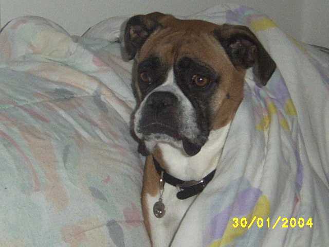 My mommy & daddy make sure I'm warm!