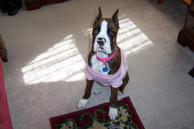 My mommy went shopping again