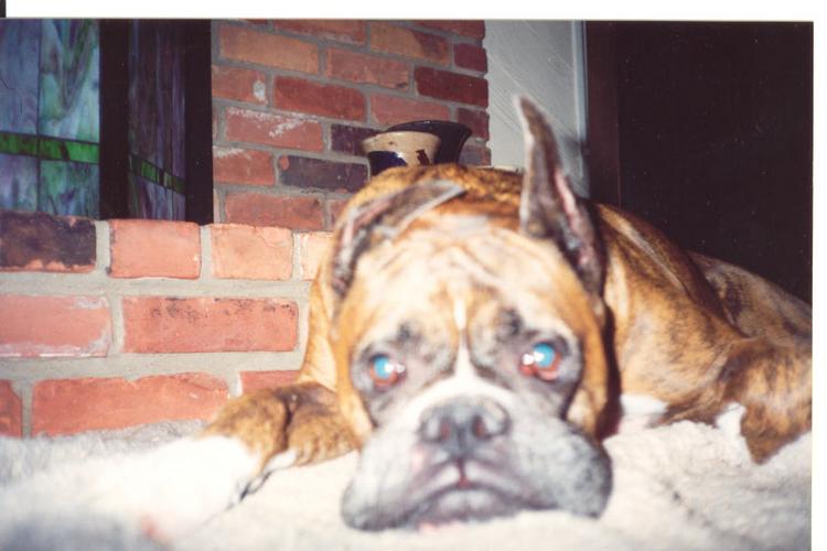 " My mush face"