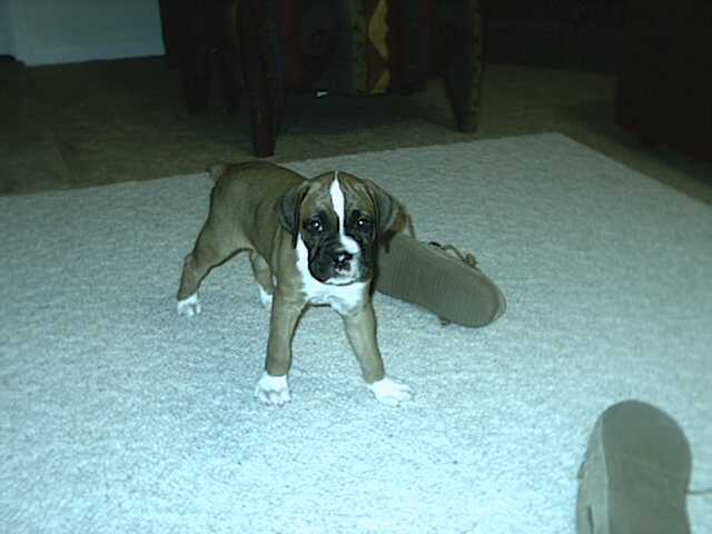 MY NAME IS TRITON!