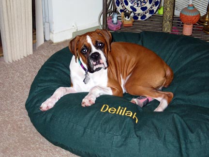 My Name's Delilah