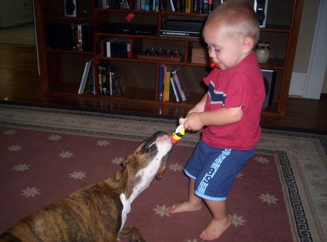 My nephew and Dutchess