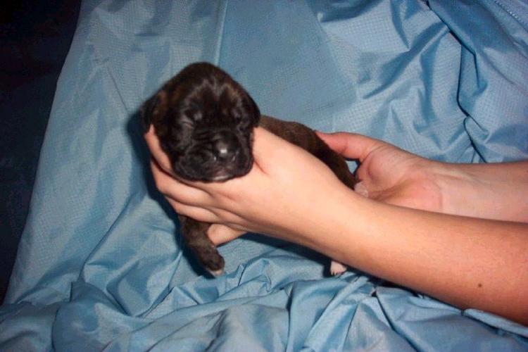My New Baby Boy!